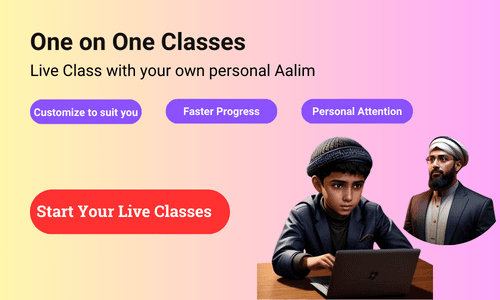 one to one online quran classes
